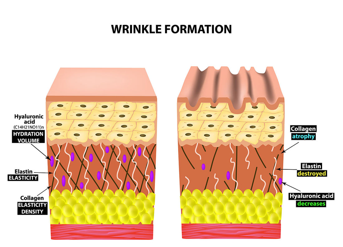 Why Science Says Hyaluronic Acid is the Holy Grail to Wrinkle-Free, Youthful Hydration