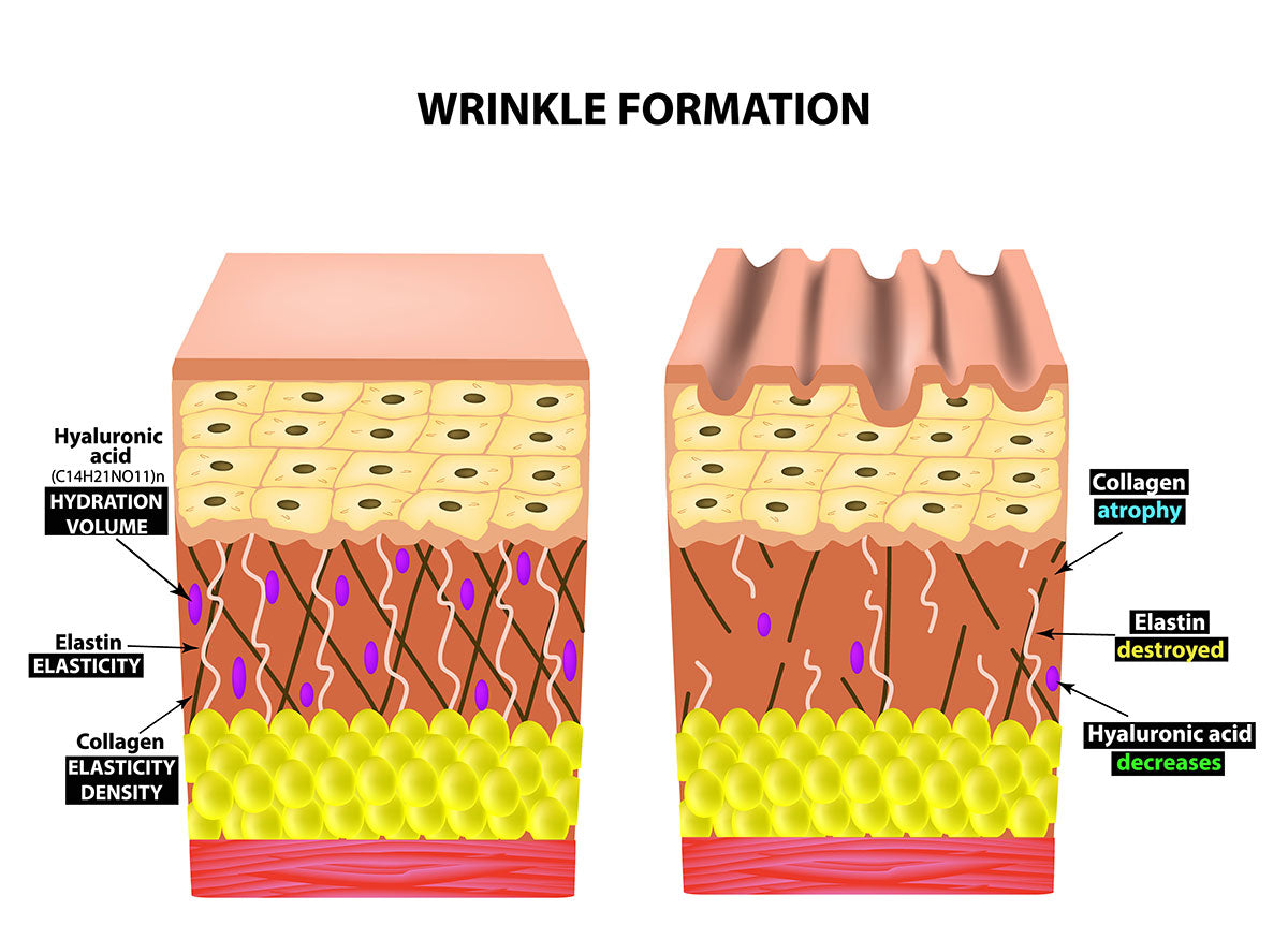 Why Science Says Hyaluronic Acid is the Holy Grail to Wrinkle-Free, Youthful Hydration