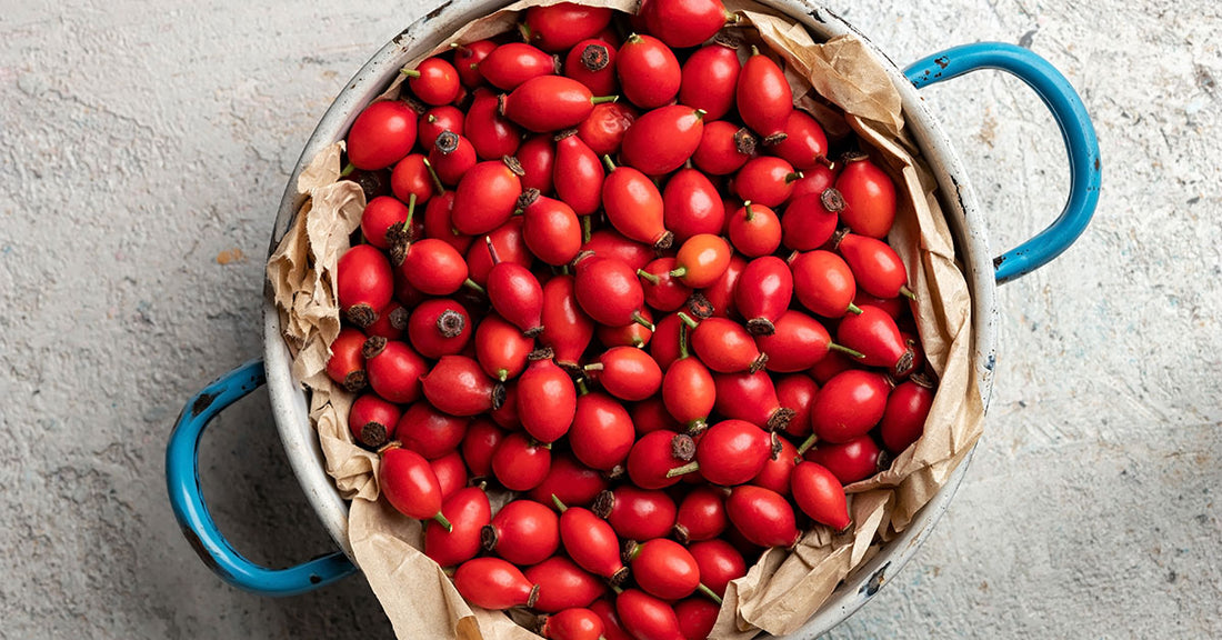 Rosehips Oil & Anti-Aging, The Real Deal Science Breakdown